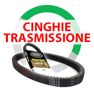 Cinghie trasmissione per quad