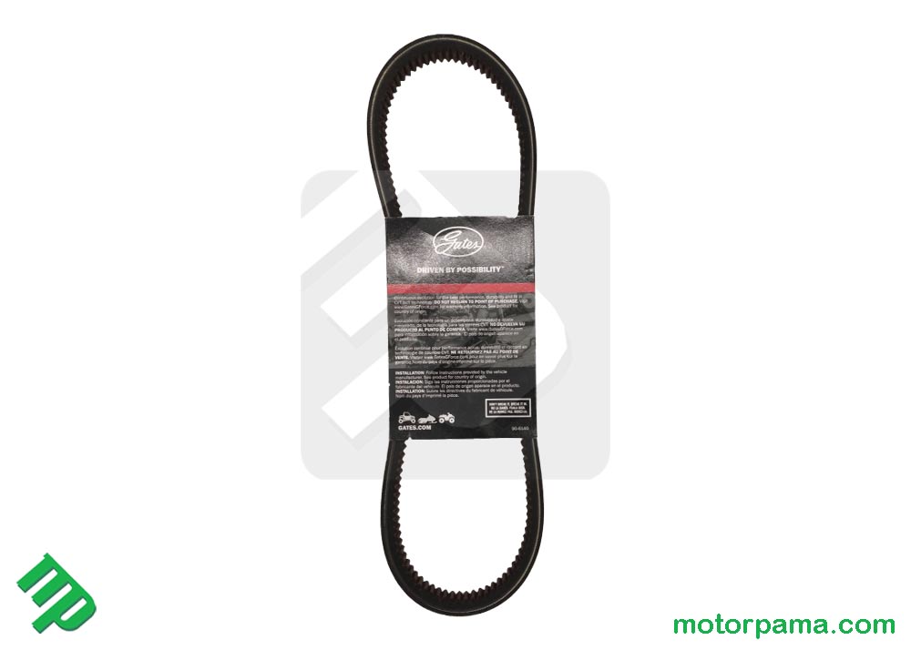 Gates Carbon Drive Cinghia - CDN - nero
