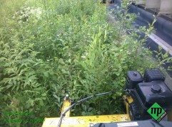 WP_20140704_005-1200x895